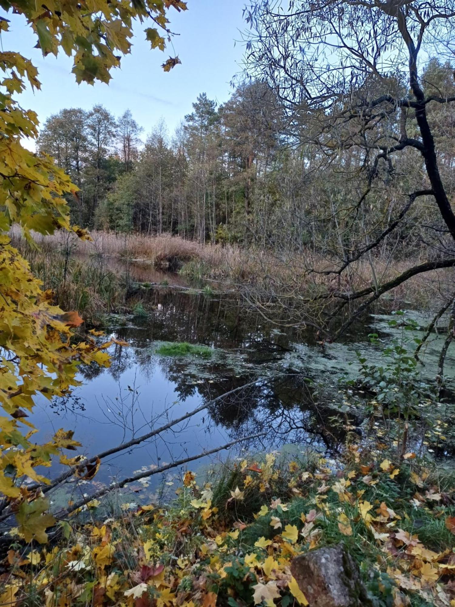 Osrodek Wypoczynkowy Koziol Hotel Kolno  Kültér fotó