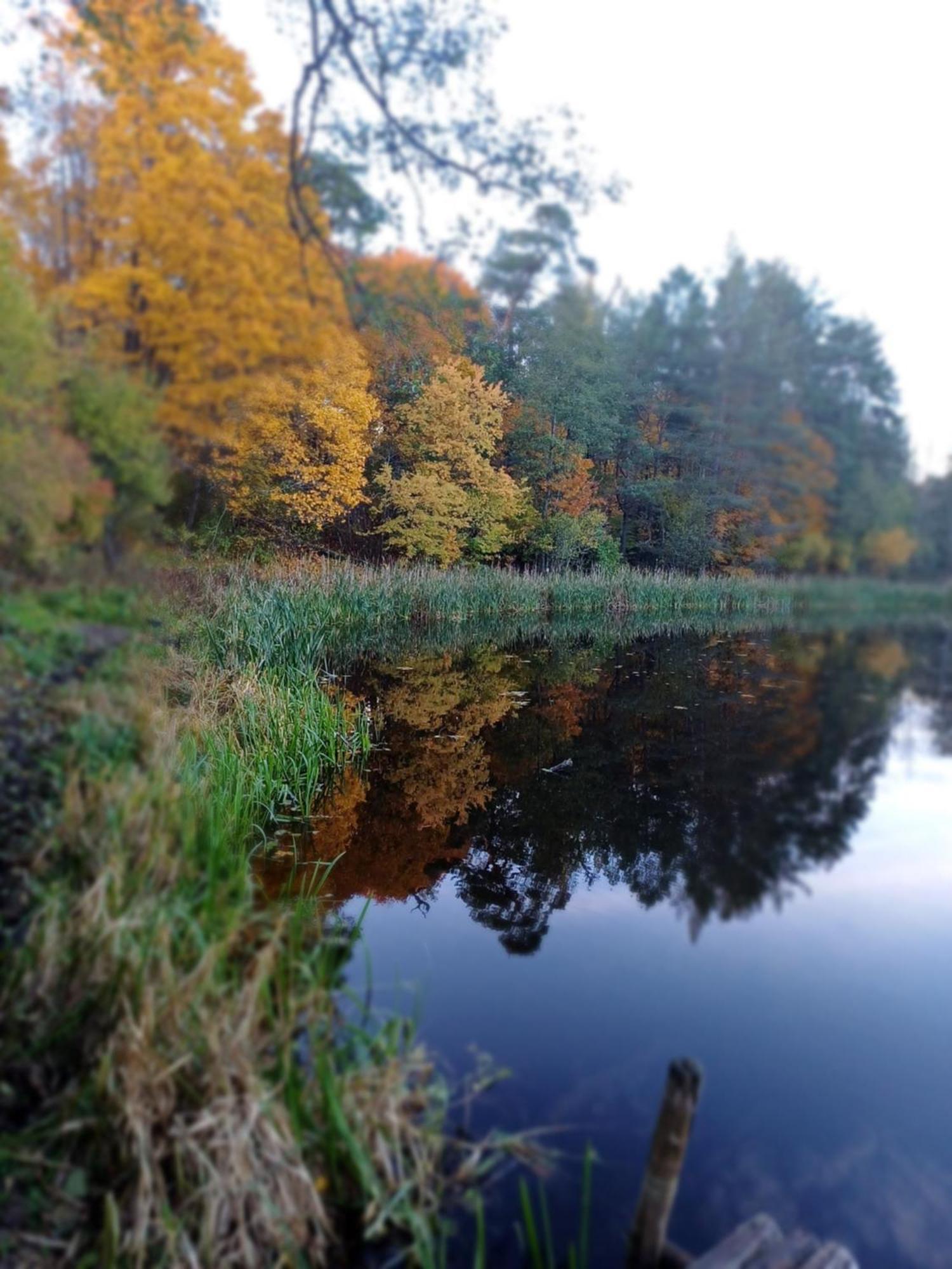 Osrodek Wypoczynkowy Koziol Hotel Kolno  Kültér fotó