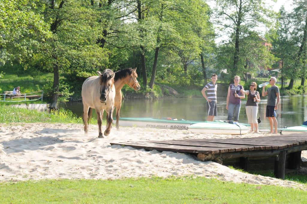 Osrodek Wypoczynkowy Koziol Hotel Kolno  Kültér fotó
